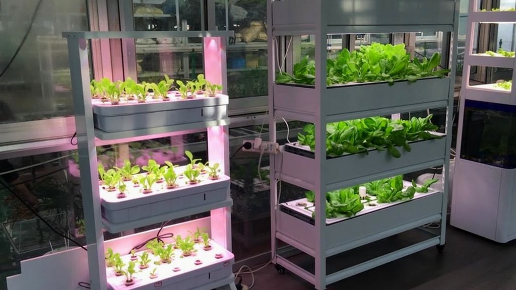 Bitki Yetiştirme Kabinleri