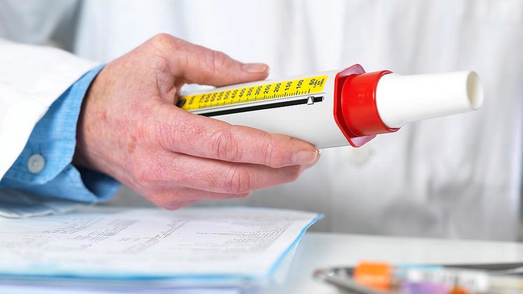 Peak Flow Ölçüm Cihazı