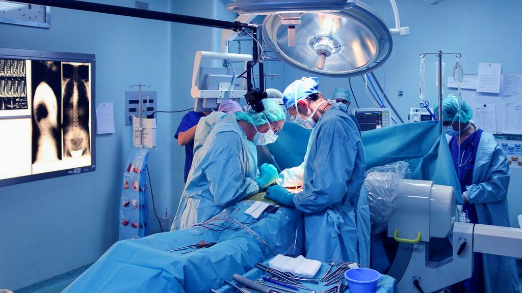 Xotin uning mushuk va eshak video korsatadi