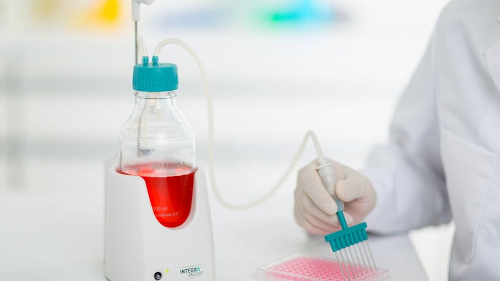 Әйелдер және сперматозоидтар