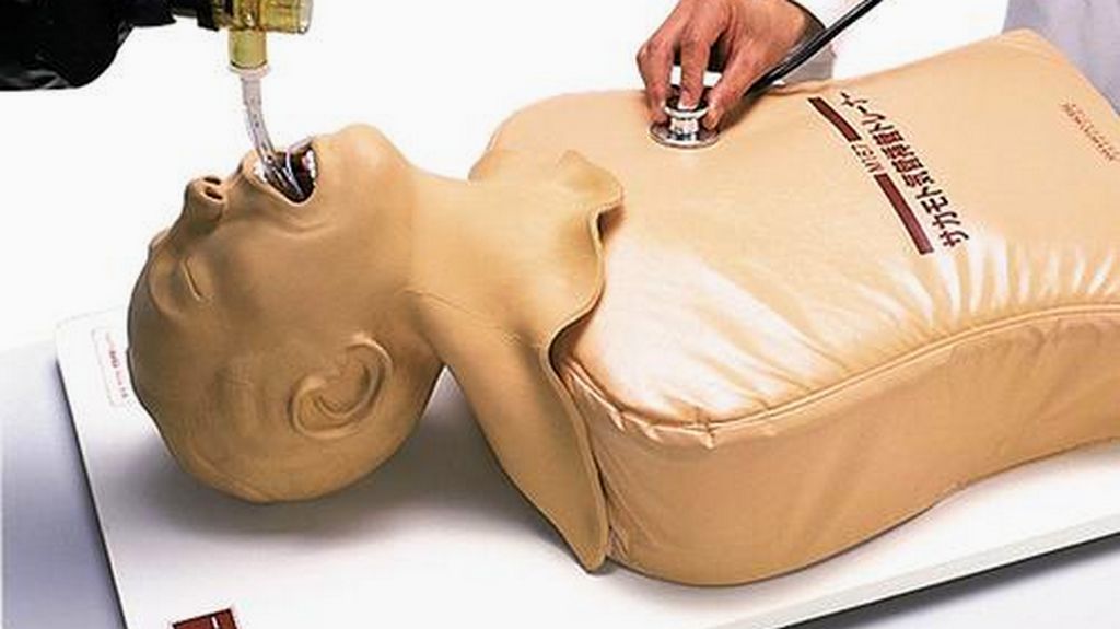 Yetişkin Entübasyon Maketi